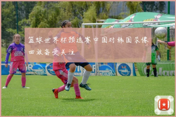 篮球世界杯预选赛中国对韩国录像回放备受关注