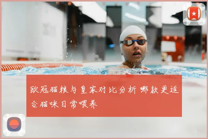 欧冠猫粮与皇家对比分析 哪款更适合猫咪日常喂养