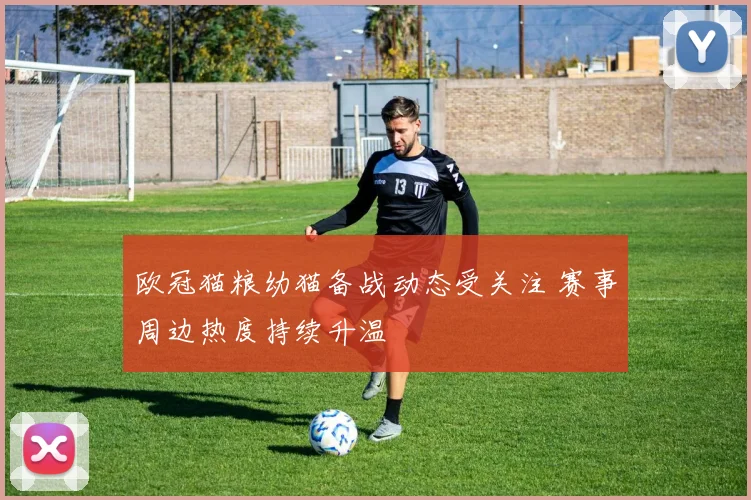 欧冠猫粮幼猫备战动态受关注 赛事周边热度持续升温
