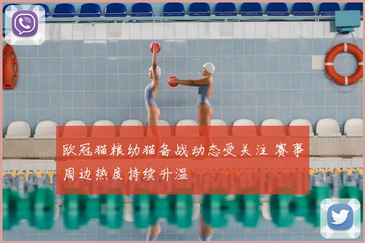 欧冠猫粮幼猫备战动态受关注 赛事周边热度持续升温