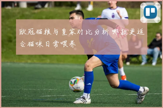 欧冠猫粮与皇家对比分析 哪款更适合猫咪日常喂养